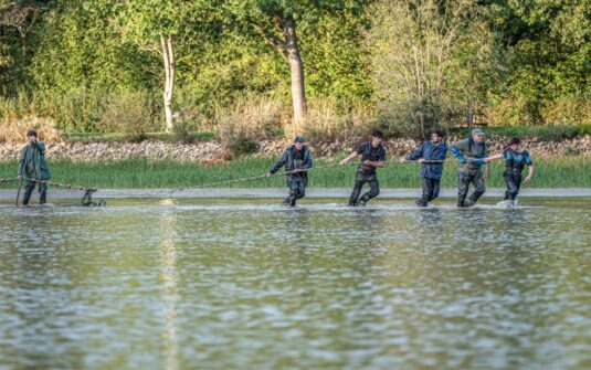 Souveraineté alimentaire : comment Sodexo et le Département de l’Ain ont mis la carpe de la Dombes au menu des collèges du département | Photo Bruno FOURMOND – Photo Club Bressan